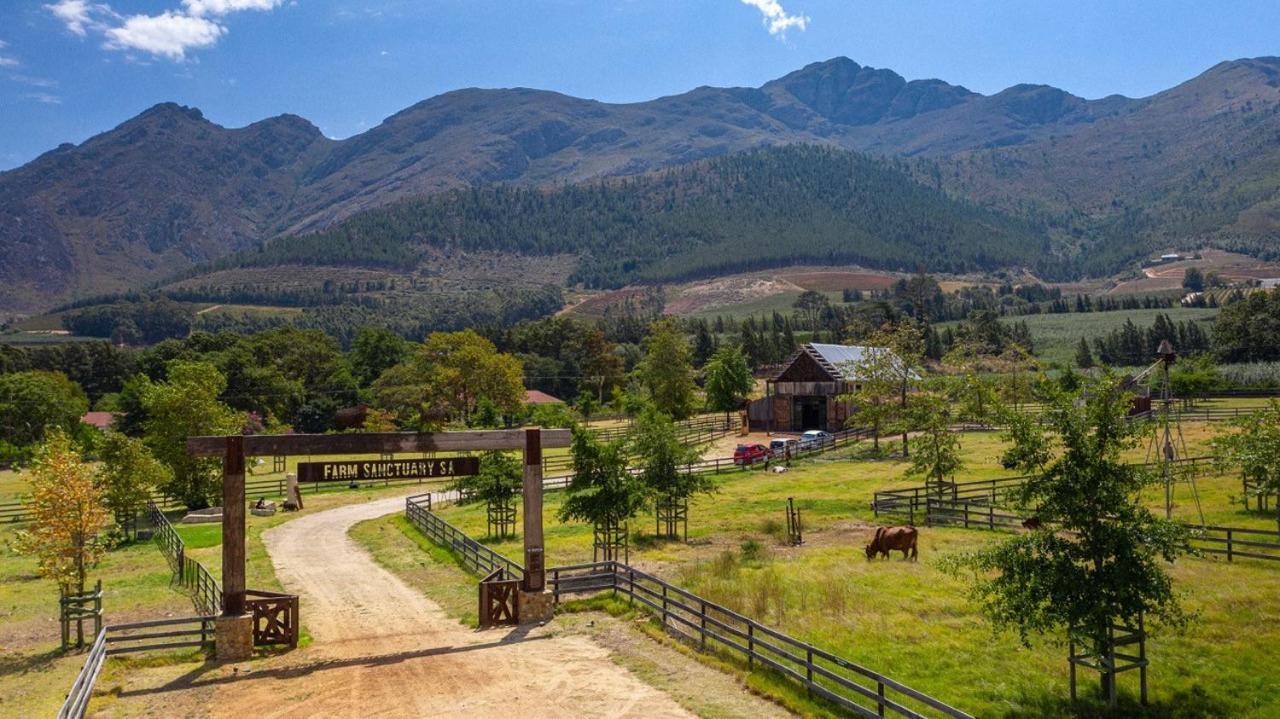 Отель Inspiring Farm Sanctuary And Famous Painting Pig Франсхук Экстерьер фото