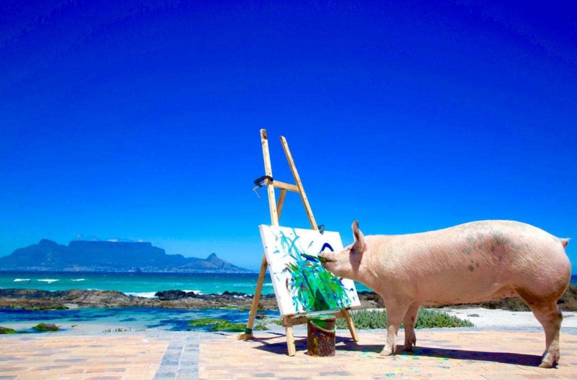 Отель Inspiring Farm Sanctuary And Famous Painting Pig Франсхук Экстерьер фото